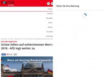 Bild zum Artikel: Insa-Sonntagstrend - Grüne fallen auf schlechtesten Wert seit 2018 - AfD legt weiter zu