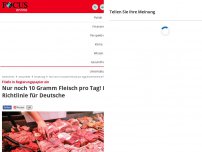 Bild zum Artikel: Fließt in Regierungspapier ein - nur noch 10 Gramm Fleisch pro Tag