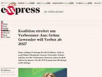 Bild zum Artikel: Koalition streitet um Verbrenner-Aus: Grüne Gewessler will Verbot ab 2027