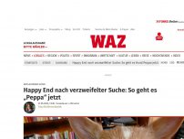 Bild zum Artikel: Entlaufener Hund: Happy End nach verzweifelter Suche: So geht es „Peppa“ jetzt