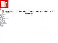 Bild zum Artikel: 245 Scheiben eingeschlagen? - Richter lässt schlimmsten Auto-Hasser laufen