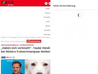 Bild zum Artikel: „Die Unvermittelbaren - mit Martin Rütter“: „Haben sich...