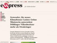 Bild zum Artikel: Gewessler, ihr neues Klimabonus-Casino: Mehr Geld für Wiener in Nobel-Bezirken