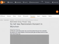 Bild zum Artikel: So lief das Rammstein-Konzert in München