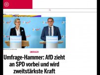 Bild zum Artikel: Umfrage-Hammer: AfD zieht an SPD vorbei und wird zweitstärkste Kraft
