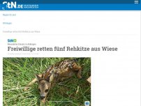 Bild zum Artikel: Besonderer Einsatz in Aidlingen: Freiwillige retten fünf Rehkitze aus Wiese