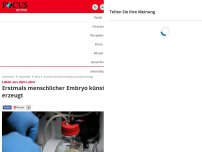 Bild zum Artikel: Forschungsdurchbruch - Erstmals menschlicher Embryo künstlich erzeugt