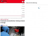 Bild zum Artikel: Forschungsdurchbruch - Erstmals menschlicher Embryo künstlich erzeugt