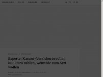 Bild zum Artikel: Experte: Kassen-Versicherte sollen 800 Euro zahlen, wenn sie zum Arzt wollen