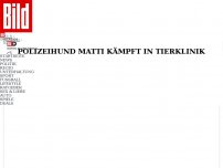 Bild zum Artikel: Matti kämpft um sein Leben - Hund stoppte Messer-Mann, um Herrchen zu schützen