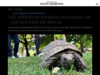 Bild zum Artikel: 1923 schlüpfte die Schildkröte im Karlsruher Zoo – jetzt wird Gretel 100 Jahre alt
