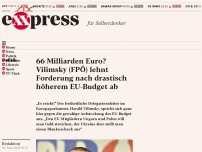 Bild zum Artikel: 66 Milliarden Euro? Vilimsky (FPÖ) lehnt Forderung nach drastisch höherem EU-Budget ab