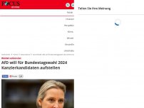 Bild zum Artikel: Weidel verkündet - AfD will für Bundestagswahl 2024 Kanzlerkandidaten stellen