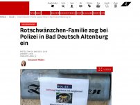 Bild zum Artikel: Neue Bewohner - Rotschwänzchen-Familie zog bei Polizei in Bad Deutsch Altenburg ein