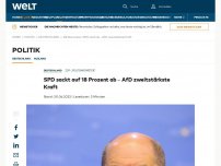 Bild zum Artikel: SPD sackt ab – AfD zweitstärkste Kraft