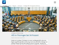 Bild zum Artikel: Umfrage: AfD in Thüringen bei 34 Prozent