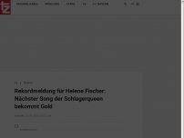 Bild zum Artikel: Helene Fischer mit Gold ausgezeichnet