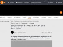Bild zum Artikel: Streubomben: Steinmeier gegen Blockade