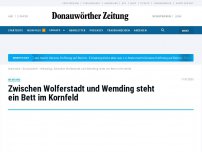 Bild zum Artikel: Zwischen Wolferstadt und Wemding steht ein Bett im Kornfeld