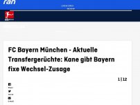 Bild zum Artikel: Bericht: Bayern scheitert auch mit zweitem Kane-Angebot
