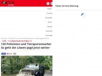 Bild zum Artikel: Polizei warnt Bürger - Entlaufene Raubkatze in Berlin - vermutlich eine Löwin