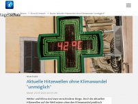 Bild zum Artikel: Studie: Aktuelle Hitzewellen ohne Klimawandel 'unmöglich'