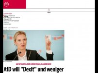 Bild zum Artikel: AfD will ''Dexit'' und weniger ''Multikulti''