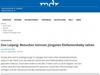 Bild zum Artikel: Zoo Leipzig: Besucher können jüngstes Elefantenbaby sehen