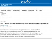 Bild zum Artikel: Zoo Leipzig: Besucher können jüngstes Elefantenbaby sehen