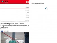 Bild zum Artikel: - Sozialer Begleiter oder Luxus? Gericht weist Hunde-Forderung von Arbeitslosem ab