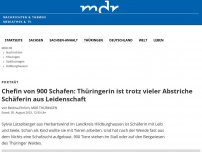 Bild zum Artikel: Chefin von 900 Schafen: Thüringerin ist trotz vieler Abstriche Schäferin aus Leidenschaft