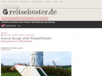 Bild zum Artikel: Siemens Energy erlebt Windrad-Debakel