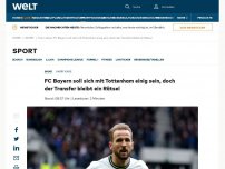 Bild zum Artikel: FC Bayern soll sich mit Tottenham über Kane-Transfer einig sein