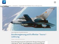 Bild zum Artikel: Bundesregierung prüft offenbar 'Taurus'-Lieferung an Kiew