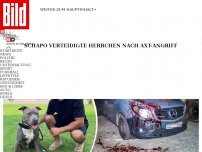Bild zum Artikel: Herrchen spricht nach Axt-Angriff - Mein Kampfhund hat mir das Leben gerettet