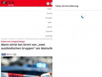 Bild zum Artikel: Polizei sucht dringend Zeugen - Mann stirbt bei Streit von „zwei ausländischen Gruppen“ am Mainufer