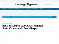 Bild zum Artikel: Rettungshund der Augsburger Malteser findet Vermissten in Gundelfingen