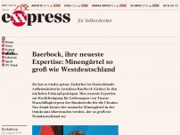 Bild zum Artikel: Baerbock, ihre neueste Expertise: Minengürtel so groß wie Westdeutschland