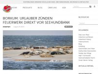 Bild zum Artikel: Borkum: Urlauber zünden Feuerwerk direkt vor Seehundbank