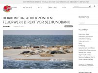 Bild zum Artikel: Borkum: Urlauber zünden Feuerwerk direkt vor Seehundbank