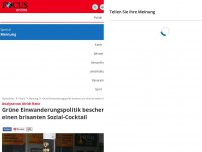 Bild zum Artikel: Analyse von Ulrich Reitz - Grüne Einwanderungspolitik beschert uns einen brisanten Sozial-Cocktail