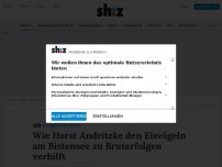 Bild zum Artikel: Wie Horst Andritzke den Eisvögeln am Bistensee zu Bruterfolgen verhilft