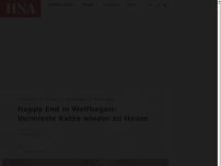 Bild zum Artikel: Happy End in Wolfhagen: Vermisste Katze wieder zu Hause