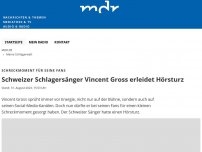 Bild zum Artikel: Schweizer Schlagersänger Vincent Gross erleidet Hörsturz