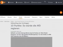 Bild zum Artikel: 10 Punkte: So würde die AfD regieren