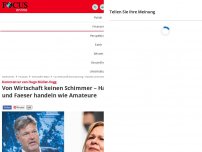 Bild zum Artikel: Kommentar von Hugo Müller-Vogg - Von Wirtschaft keinen Schimmer – Habeck und Faeser handeln wie Amateure