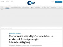 Bild zum Artikel: Hahn kräht und kräht – Osnabrückerin erstattet Anzeige wegen Lärmbelästigung