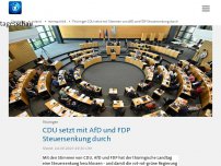 Bild zum Artikel: Thüringer CDU setzt mit Stimmen von AfD und FDP Steuersenkung durch