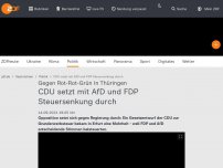 Bild zum Artikel: AfD hilft CDU bei Steuersenkung in Thüringen