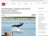 Bild zum Artikel: Travemünde: Verspielter Delfin begeistert erneut Strandspaziergänger